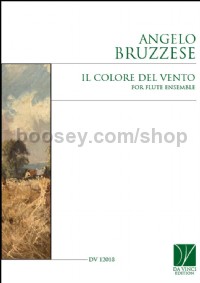 Il Colore del Vento, for Flute Ensemble